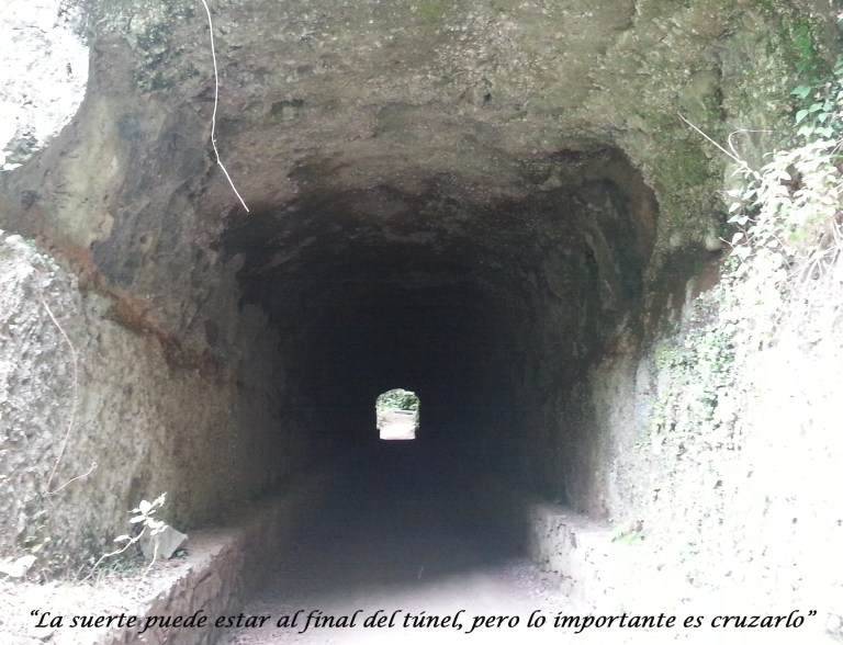 articulo suerte protocolo granada