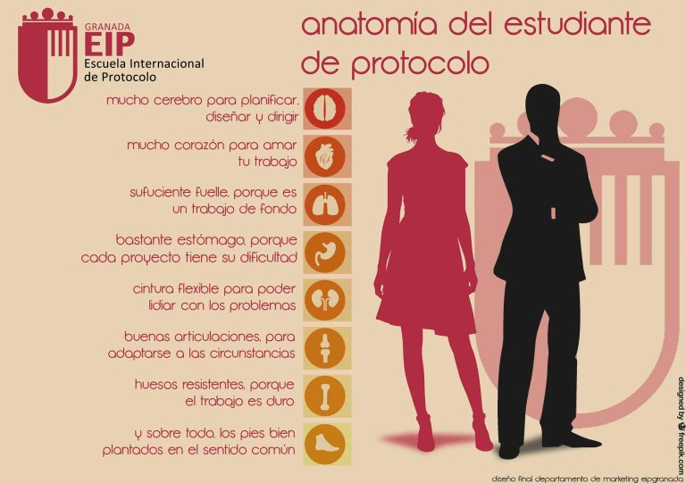anatomía del estudiante de protocolo