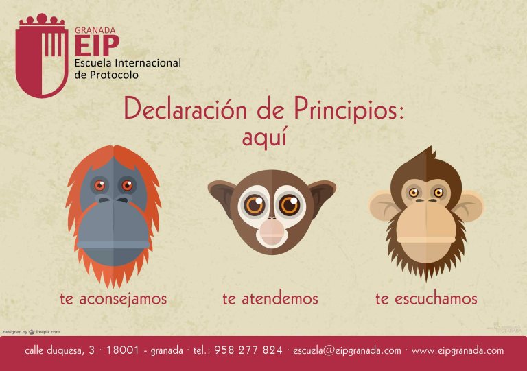 declaración de principios