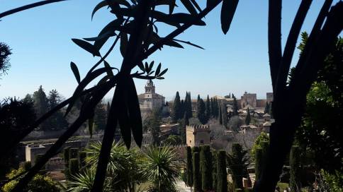 Fotografía de Nieves Cubillo